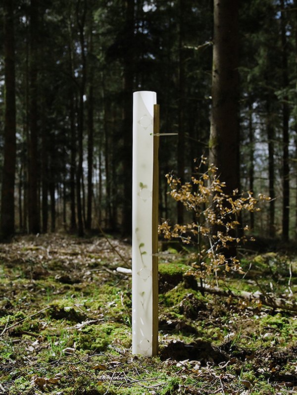 Die Arbotrade-Wuchshülle aus abbaubarem Bio-Kunststoff bietet eine nachhaltige Lösung für den Weinanbau. Sie ist leicht, lichtdurchlässig und verfügt über bodennahe Lüftungslöcher, die ein Mikroklima für verbessertes Wachstum schaffen. Hergestellt in Baden-Württemberg, wurde das Material im Rahmen des Forschungsprojekts 'TheForestCleanup' erfolgreich auf Abbaubarkeit getestet. Die natürliche Optik fügt sich harmonisch in die Umgebung ein, und die Hülle wird platzsparend flach geliefert, inklusive abbaubarer Kabelbinder.
