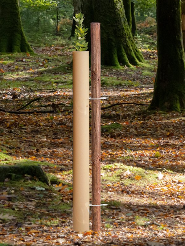 Rainbow Terra: Biologisch abbaubarer Baumschutz aus britischem Holz und pflanzlichem Harz, zertifiziert für Abbau in Boden, Wasser und Meeren. Natürliche Optik, hohe Lichtdurchlässigkeit, bodennahe Lüftungslöcher und langlebig (3-5 Jahre).