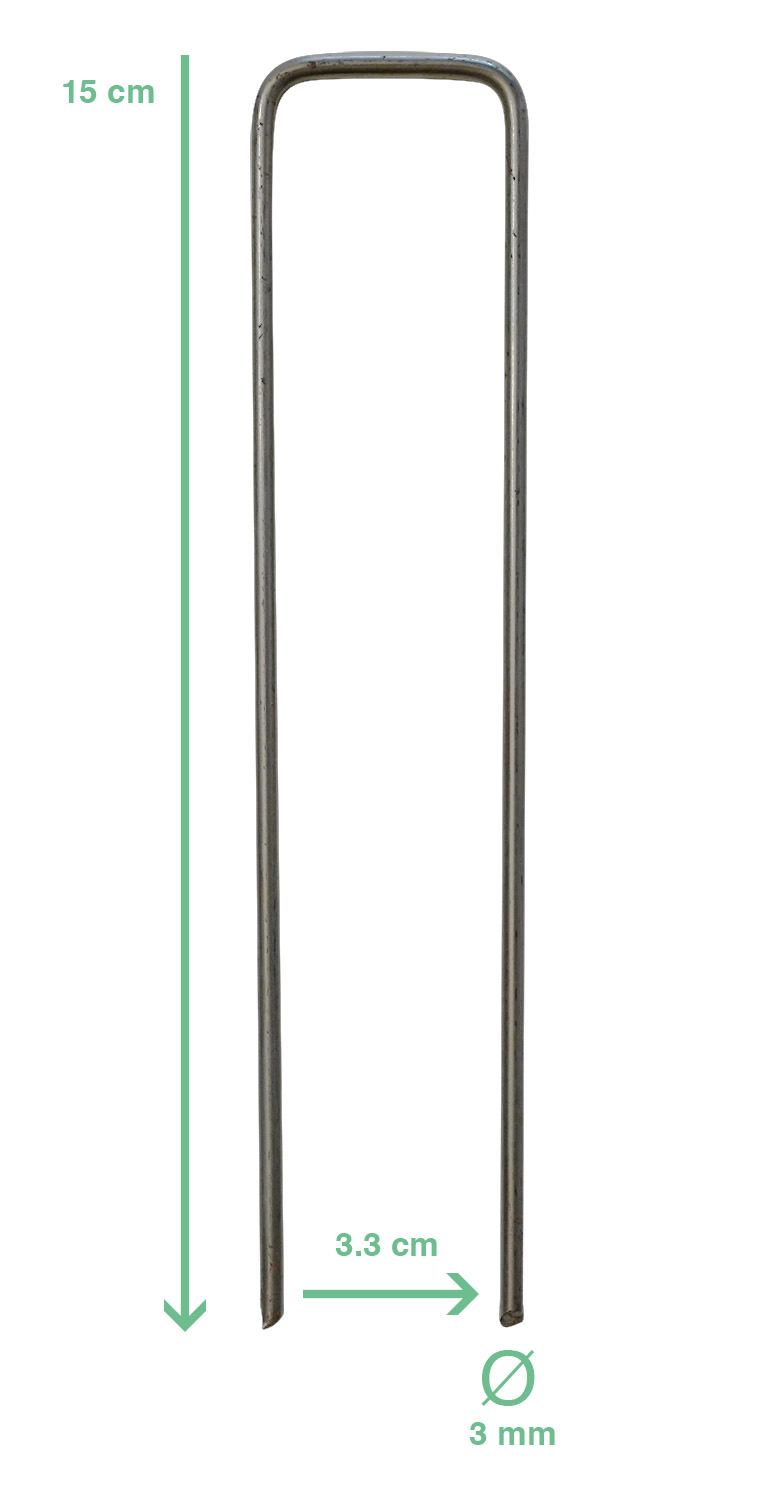 Agraffen 15cm / 3.0mm Hortima AG