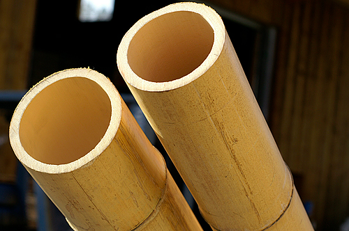 Bambusrohre (Dekor)