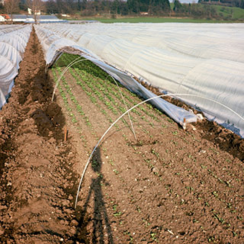 Autre tunnels