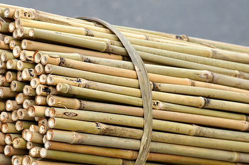 Tuteurs bambou