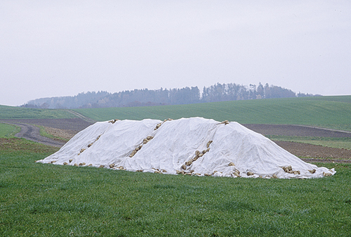 Pflanzen und Rübenschutzvlies 490 cm / 50 m Hortima AG